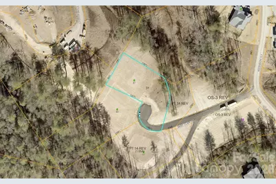 87 Mont Clair Trail #31, Horse Shoe, NC 28742 - Photo 12