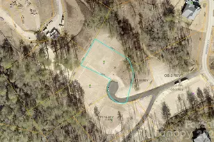 87 Mont Clair Trail, Horse Shoe, NC 28742 - Photo 12