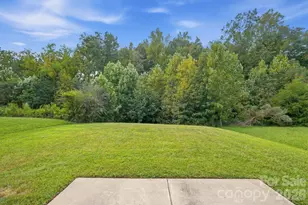 10216 Green Grass Rd, Charlotte, NC 28227 - Photo 38