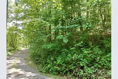 28 Mountain Breeze Trail, Asheville, NC 28803 - Photo 4