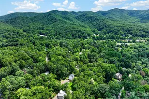 7 Bowers Rd, Black Mountain, NC 28711 - Photo 40