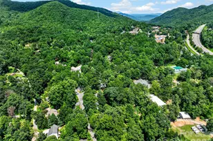7 Bowers Rd, Black Mountain, NC 28711 - Photo 42