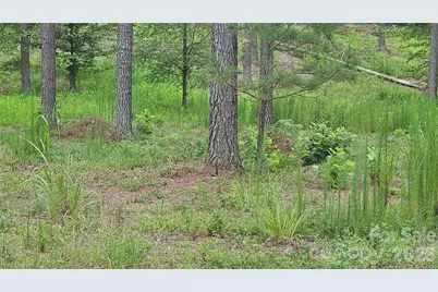 1884 Coveside Drive, Granite Falls, NC 28630 - Photo 4