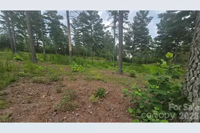 1884 Coveside Drive, Granite Falls, NC 28630 - Photo 6
