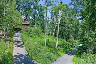 270 Dana Rd, Green Mountain, NC 28740 - Photo 40
