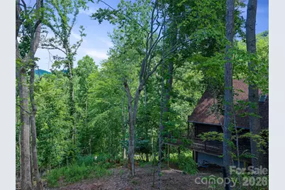 270 Dana Road, Green Mountain, NC 28740 - Photo 48
