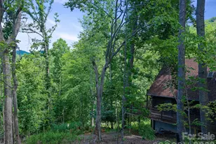 270 Dana Rd, Green Mountain, NC 28740 - Photo 48