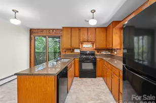 270 Dana Rd, Green Mountain, NC 28740 - Photo 4