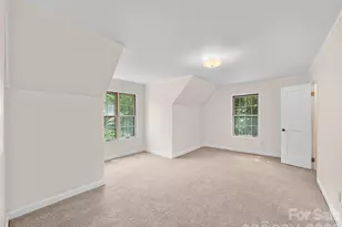 270 Dana Rd, Green Mountain, NC 28740 - Photo 18