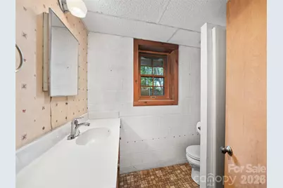 270 Dana Road, Green Mountain, NC 28740 - Photo 24