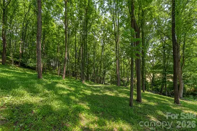 702 Love Joy Road, Canton, NC 28716 - Photo 16