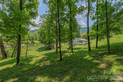 702 Love Joy Road, Canton, NC 28716 - Photo 20