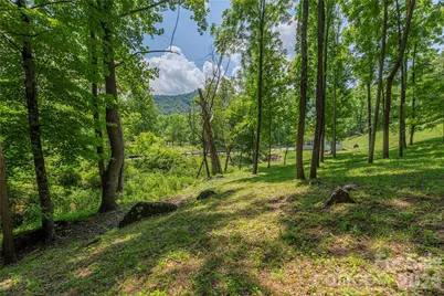 702 Love Joy Road, Canton, NC 28716 - Photo 18