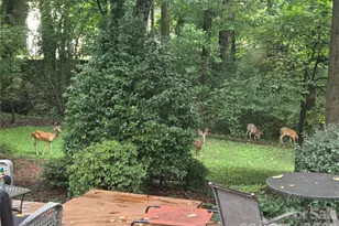 6123 Page Ct, Charlotte, NC 28270 - Photo 42