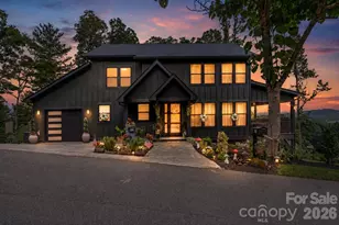 49 Timber Moss Dr, Asheville, NC 28804 - Photo 1