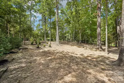 10823 Persimmon Creek Drive, Charlotte, NC 28227 - Photo 40