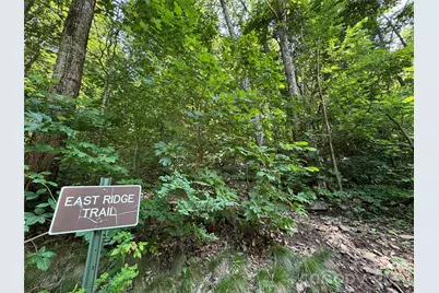 352 High Hickory Trail #20, Swannanoa, NC 28778 - Photo 20