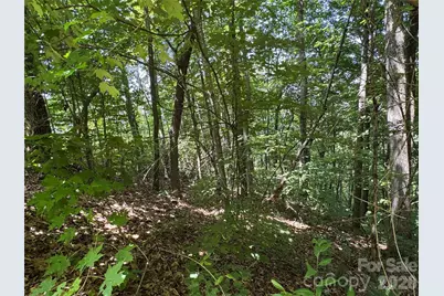 352 High Hickory Trail #20, Swannanoa, NC 28778 - Photo 12