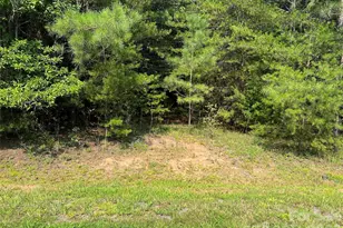 409 N Dakota Dr, Rutherfordton, NC 28139 - Photo 28