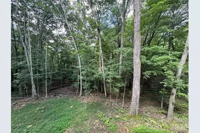 54 Hamlin Lane, Mars Hill, NC 28754 - Photo 12