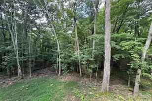 54 Hamlin Ln, Mars Hill, NC 28754 - Photo 12