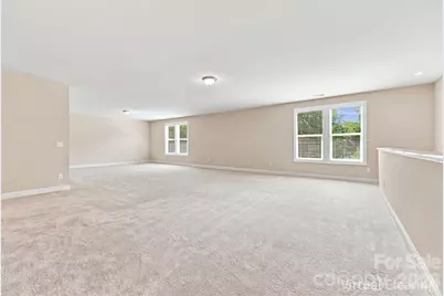 16131 Alsace Drive, Charlotte, NC 28278 - Photo 28
