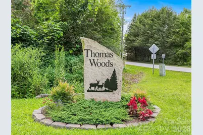 201 Valeria Lane, Pisgah Forest, NC 28768 - Photo 44