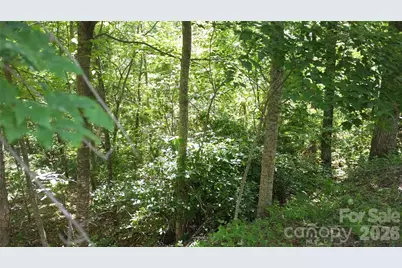 11 & 21 Sunset Ridge Drive #21 & 11, Columbus, NC 28722 - Photo 2