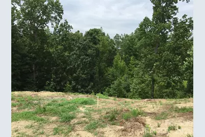552 Placid Court, Fort Mill, SC 29708 - Photo 8