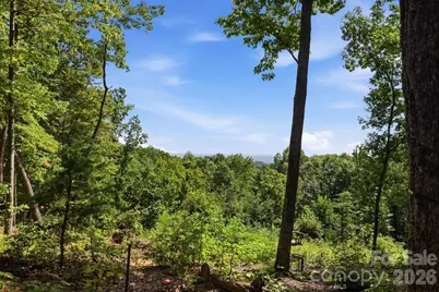 464 Mason Road, Ellenboro, NC 28040 - Photo 46