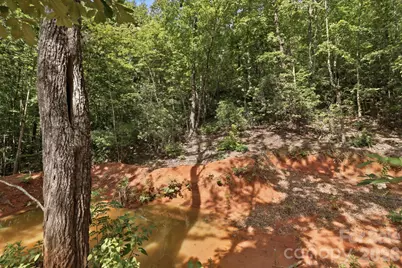 464 Mason Road, Ellenboro, NC 28040 - Photo 48