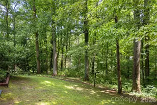 1043 Berea Church Rd, Hendersonville, NC 28739 - Photo 30