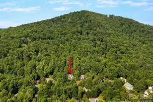 306 Golden Hawk Trail, Asheville, NC 28805 - Photo 38