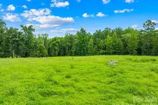 6334 Long Island Rd, Catawba, NC 28609 - Photo 46