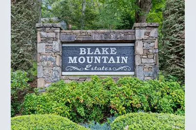 105 Galloway Drive, Asheville, NC 28803 - Photo 48
