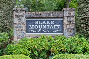 105 Galloway Dr, Asheville, NC 28803 - Photo 48