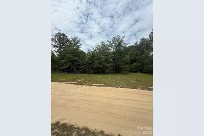 Tbd Sheridan Oliver Road, Ruby, SC 29741 - Photo 2