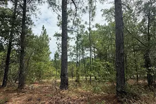Tbd Sheridan Oliver Rd, Ruby, SC 29741 - Photo 1