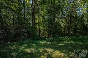 3170 Asbury Church Rd, Lincolnton, NC 28092 - Photo 46