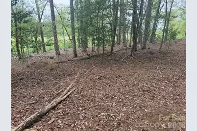 0 Eagle Point, Mount Gilead, NC 27306 - Photo 2