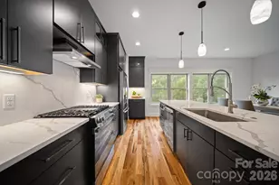 58 Pinedale Rd, Asheville, NC 28805 - Photo 4