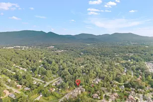 58 Pinedale Rd, Asheville, NC 28805 - Photo 46