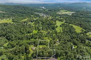 38 Chadwick Wade Dr, Asheville, NC 28804 - Photo 46
