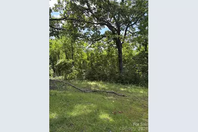 61 Sugar Maple Drive, Black Mountain, NC 28711 - Photo 4