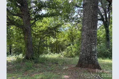 61 Sugar Maple Drive, Black Mountain, NC 28711 - Photo 2