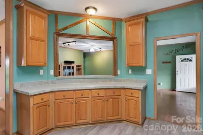 98 New Sorrells Estate, Brevard, NC 28712 - Photo 20