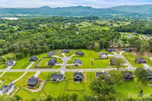 258 Mavrick Dr, Mills River, NC 28759 - Photo 44
