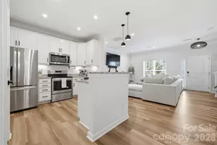 22012 Lani Dr, Charlotte, NC 28273 - Photo 10