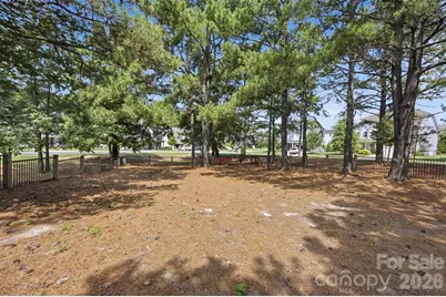 5529 Braddock Mill Way, Lancaster, SC 29720 - Photo 42