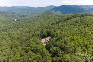 383 Eagle Ridge Rd, Zirconia, NC 28790 - Photo 48